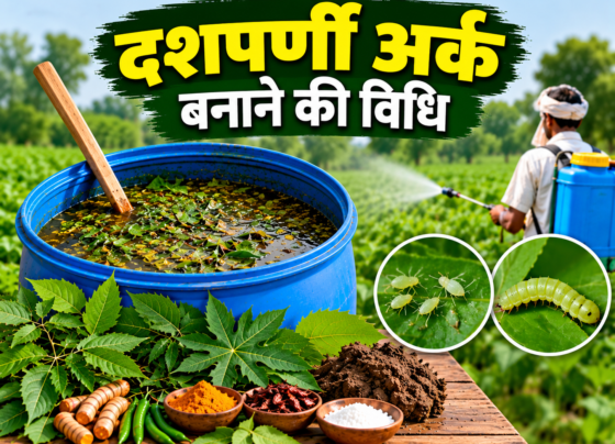 Dashparni Ark Banane Ki Vidhi