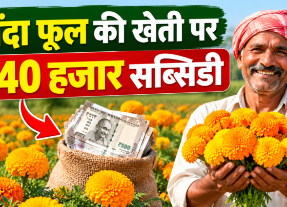 Genda Phool Ki Kheti Par ₹40 Hazaar Subsidy
