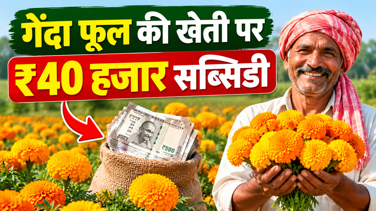 गेंदा फूल की खेती पर ₹40 हजार सब्सिडी, किसानों को मिलेगा सरकारी अनुदान Genda Phool Ki Kheti Par ₹40 Hazaar Subsidy