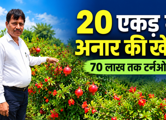 Nihal Singh Anar Ki Kheti Success Story