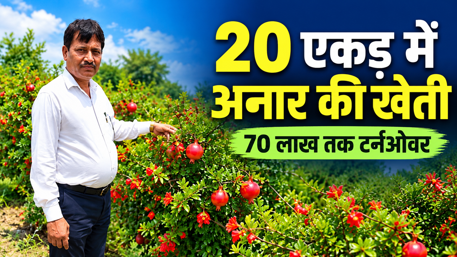 राजस्थान के किसान निहाल सिंह ने 20 एकड़ में अनार की खेती, सालाना टर्नओवर 70 लाख रुपये तक Nihal Singh Anar Ki Kheti Success Story