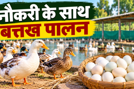 Pramod Kumar Duck Farming Success Story