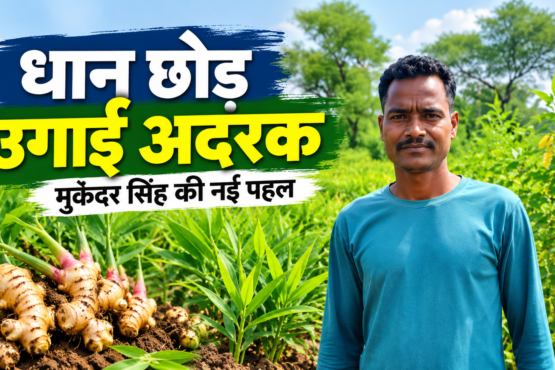 Mukandar Singh Adrak Ki Kheti Success Story