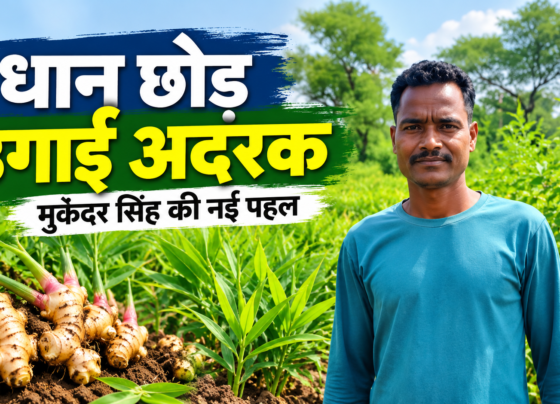 Mukandar Singh Adrak Ki Kheti Success Story