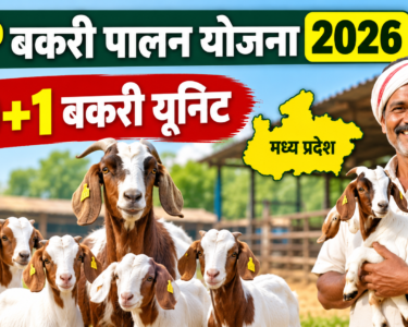 MP Bakri Palan Yojana 2026