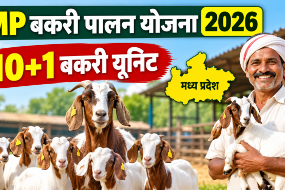 MP Bakri Palan Yojana 2026