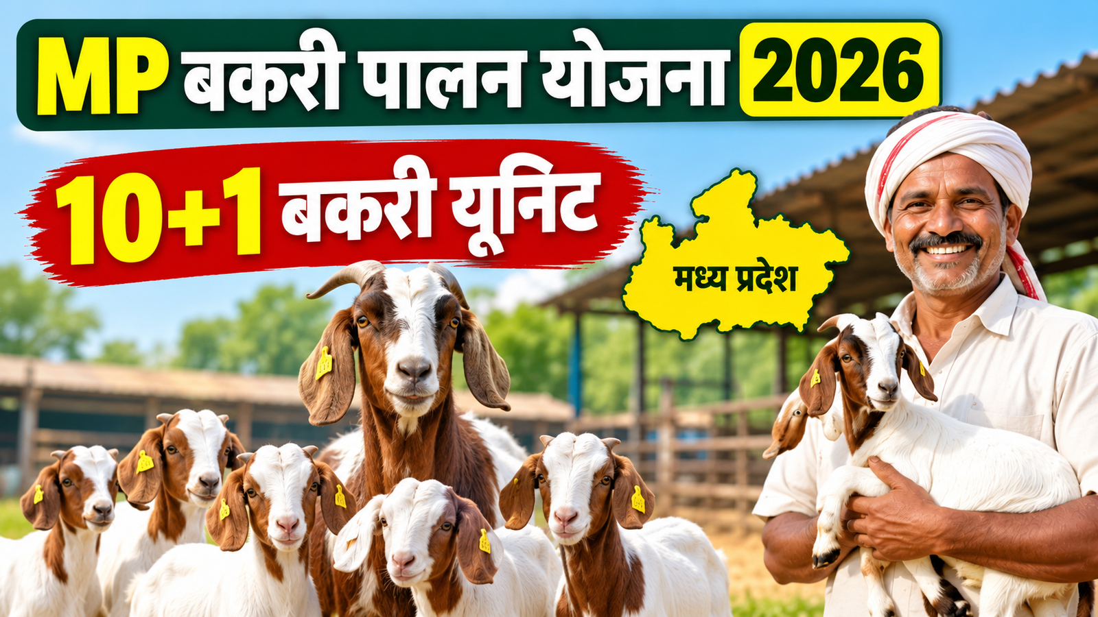 मध्य प्रदेश में 10+1 बकरी यूनिट पर मिलेगी सब्सिडी, जानें आवेदन और पात्रता MP Bakri Palan Yojana 2026