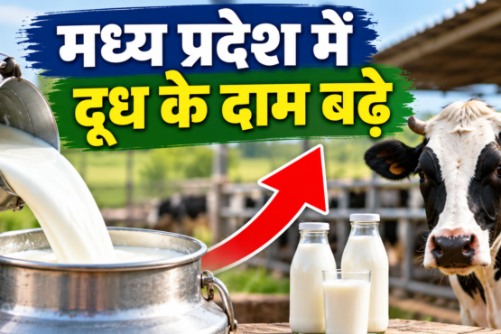 Madhya Pradesh Mein Doodh Ke Daam