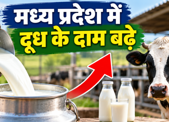 Madhya Pradesh Mein Doodh Ke Daam