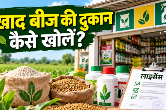 Khad Beej Ki Dukan Kaise Kholen?