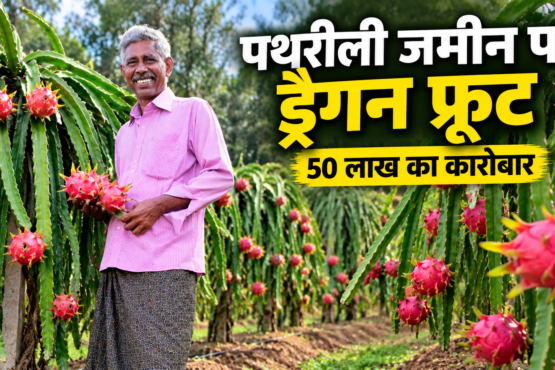 Joseph KS Dragon Fruit Farming Success Story