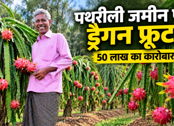 Joseph KS Dragon Fruit Farming Success Story