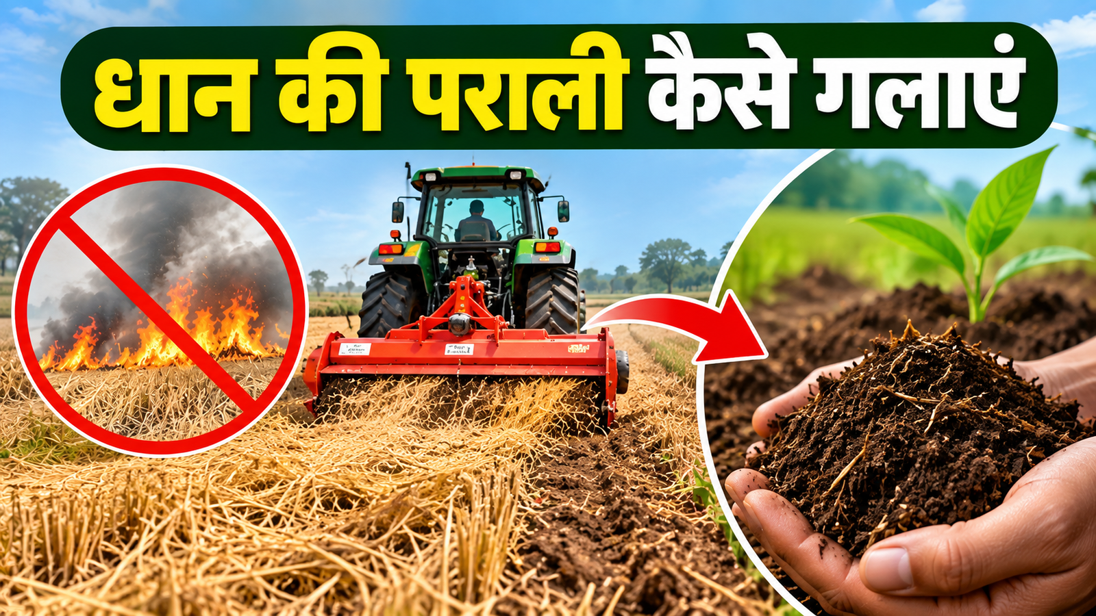 धान कटते ही पराली को आग न लगाएं, मशीन से कुतरकर ऐसे बनाएं खाद  Dhaan Ki Parali Kaise Galayein