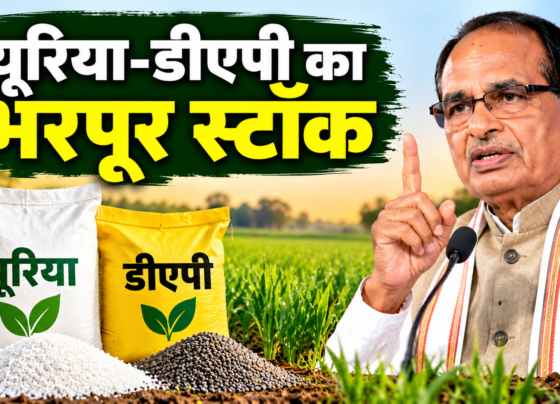 Urea DAP Stock 2026