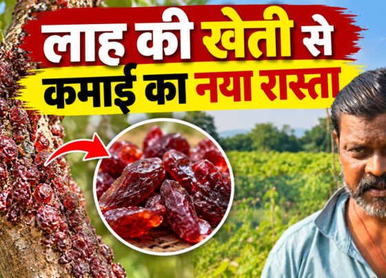 Vijay Lac Farming Success Story