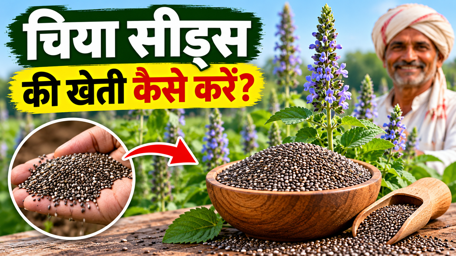 कम पानी में करें चिया सीड्स की खेती, जानें बुवाई से लेकर कमाई तक की पूरी जानकारी Chia Seeds Ki Kheti Kaise Kare