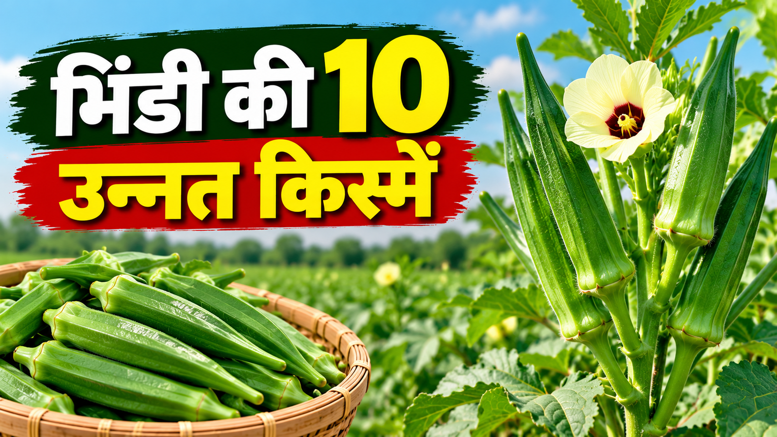 भिंडी की 10 उन्नत किस्में, भिंडी की इन किस्मों से बढ़ाएं पैदावार और कमाई Bhindi Ki 10 Unnat Kismein