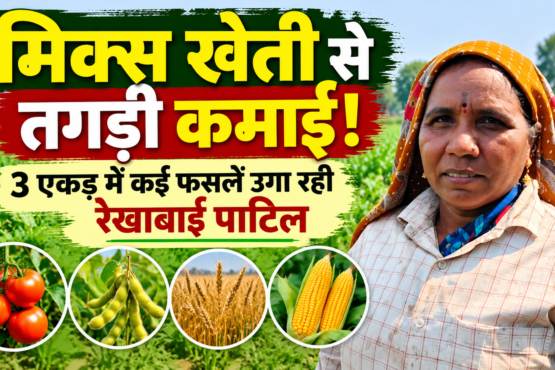 Rekhabai Patil Mixed Farming Success Story