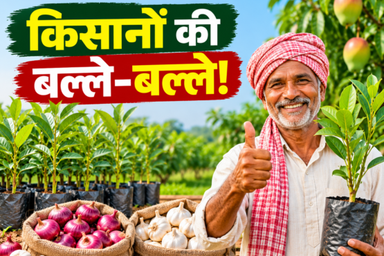 Mukhyamantri Rajya Audyanik Vikas Yojana 2026