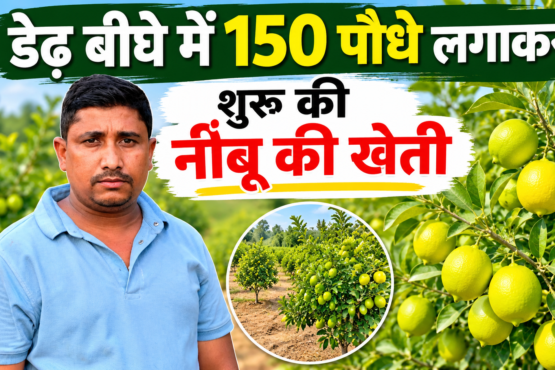 Ranjish Nishad Lemon Farming Success Story