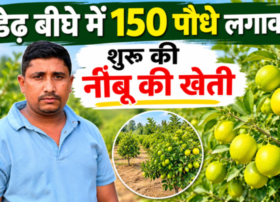 Ranjish Nishad Lemon Farming Success Story