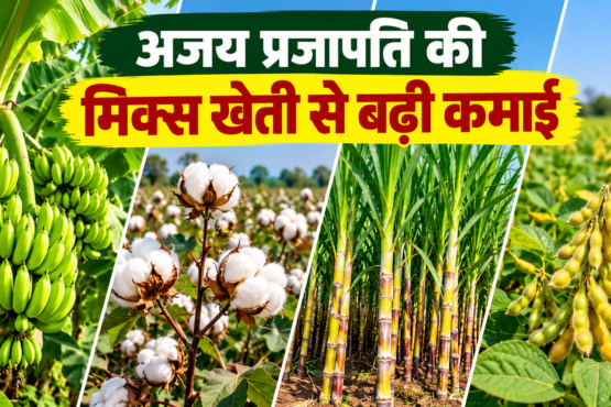 Ajay Prajapati Mix Farming Success Story