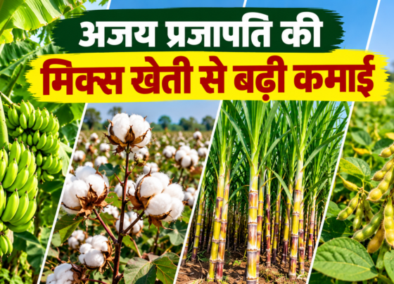 Ajay Prajapati Mix Farming Success Story