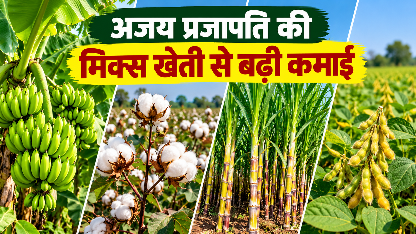 अजय प्रजापति ने 10 एकड़ में मिक्स खेती से बढ़ी कमाई Ajay Prajapati Mix Farming Success Story
