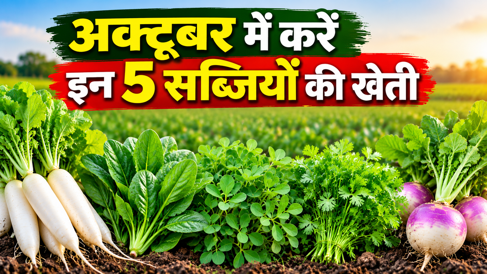 अक्टूबर में लगाएं ये 5 सब्जियां, 35 दिन में शुरू होगी पहली कटाई October Mein 5 Sabjiyon Ki Kheti