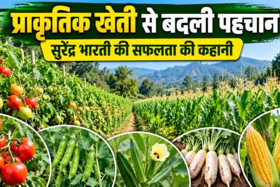 Surendra Bharti Ki Prakritik Kheti Success Story