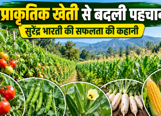 Surendra Bharti Ki Prakritik Kheti Success Story