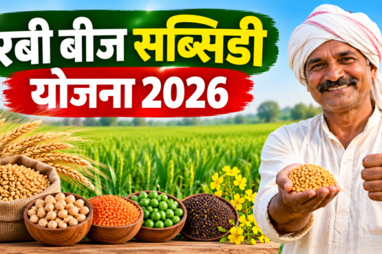 Rabi Beej Subsidy Yojana 2026