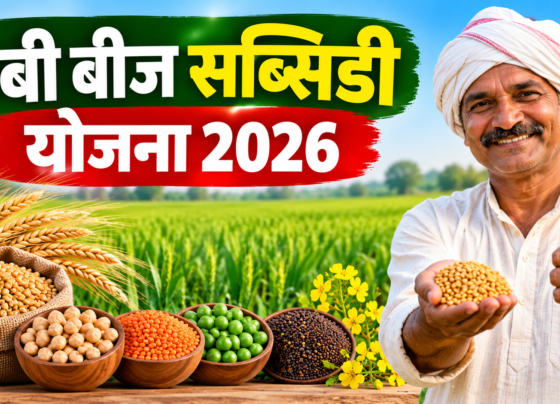Rabi Beej Subsidy Yojana 2026