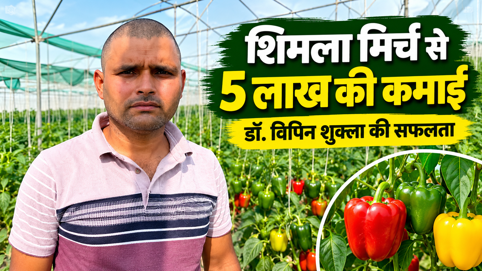 मध्य प्रदेश के किसान डॉ. विपिन शुक्ला ने शिमला मिर्च की खेती से किसान ने कमाए 5 लाख रुपये Vipin Shukla Shimla Mirch Farming Success Story