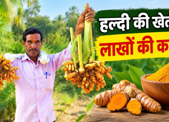 Yashwant Singh Haldi Ki Kheti Success Story