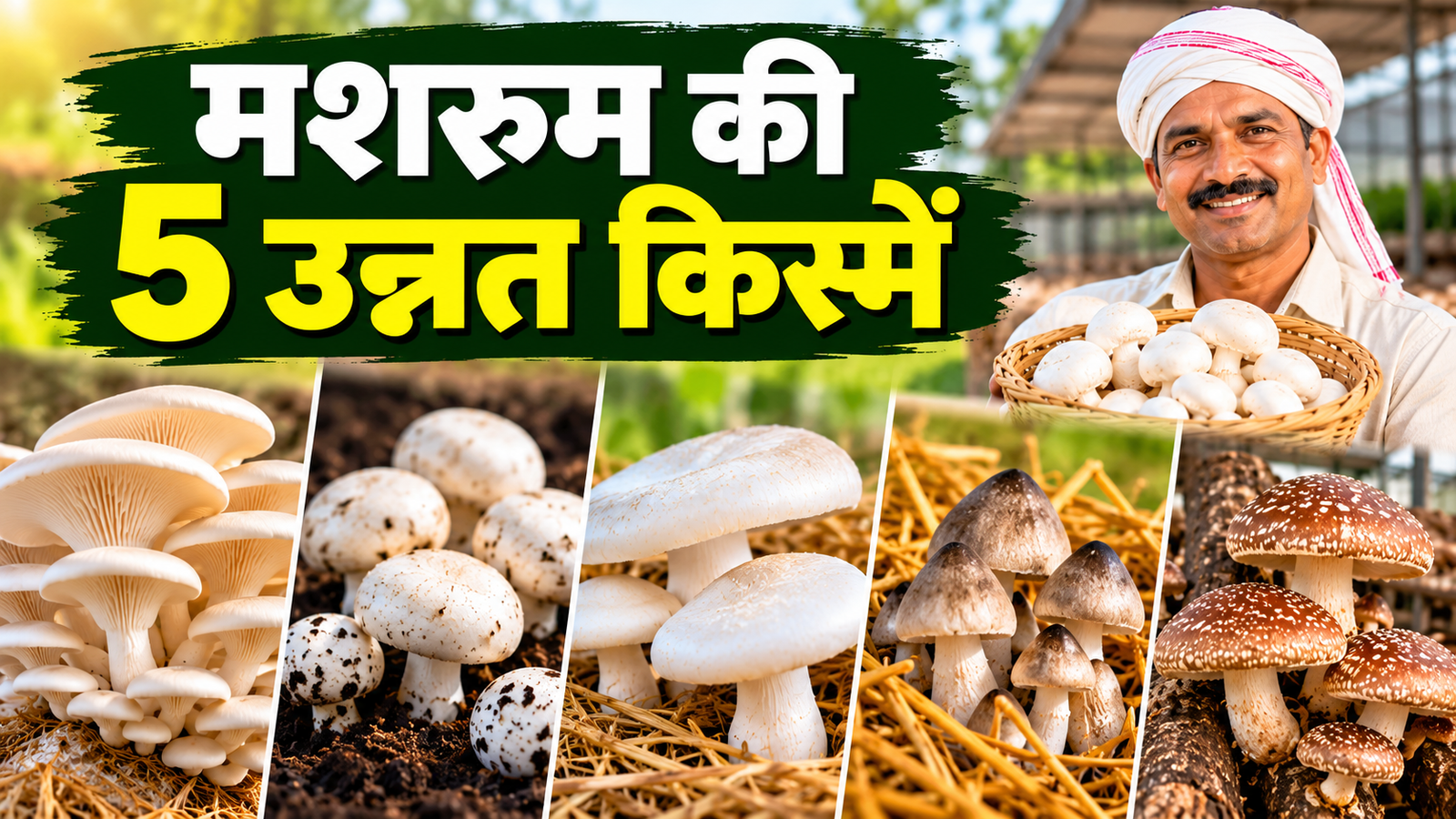 भारत में सबसे ज्यादा उगाई जाने वाली मशरूम की 5 किस्में, जानें खेती का तरीका, लागत और कमाई Mushroom Ki 5 Unnat Kismein