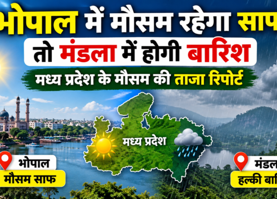 MP Weather Today