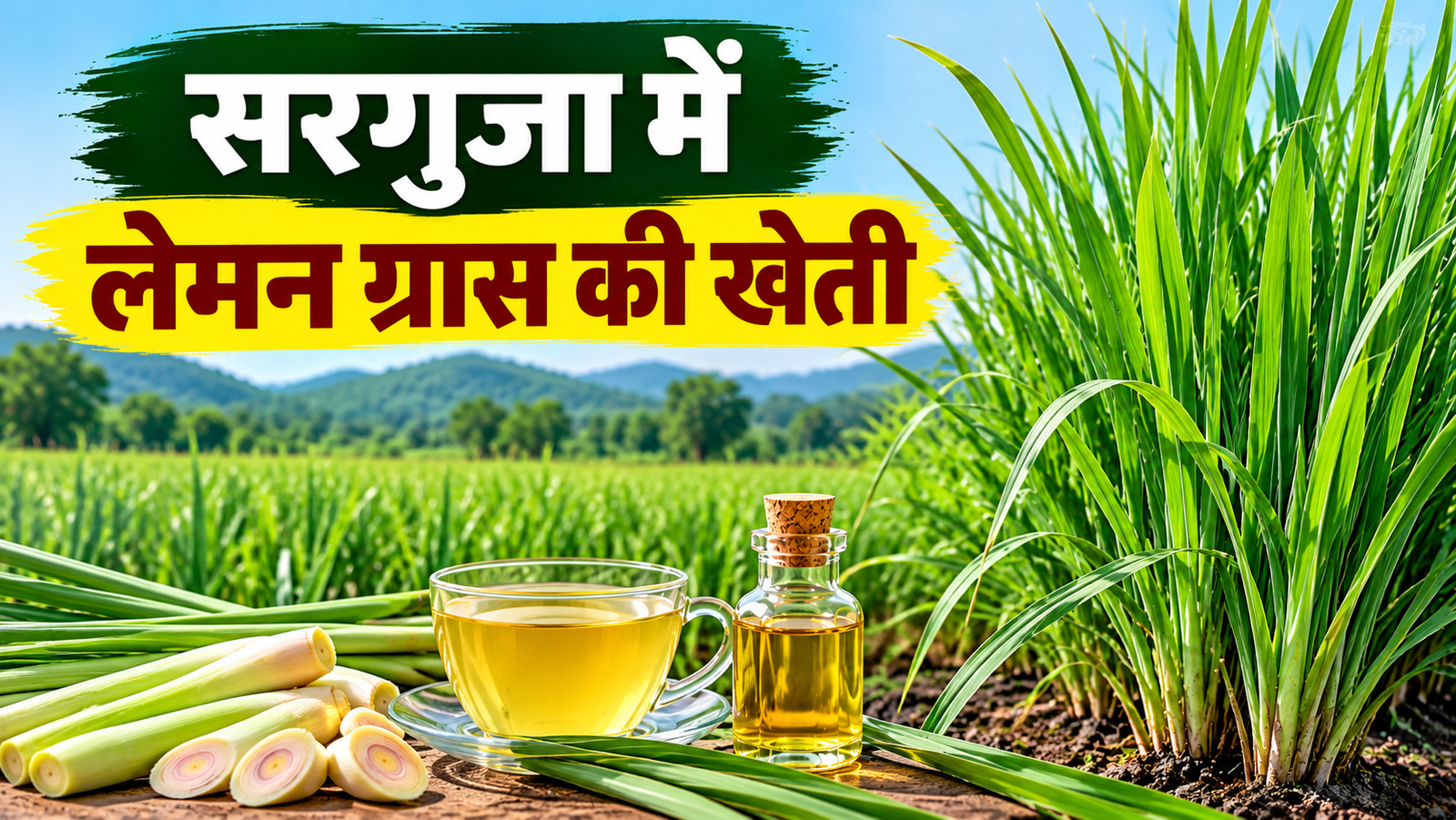 Lemon Grass Ki Kheti: लेमन ग्रास की खेती से किसानों को मिल सकता है फायदा, तेल की बढ़ती मांग बनेगी कमाई का जरिया