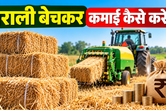 Parali Bechkar Kamai Kaise Kare