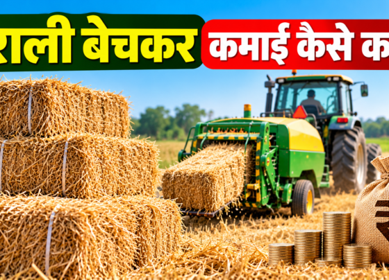 Parali Bechkar Kamai Kaise Kare