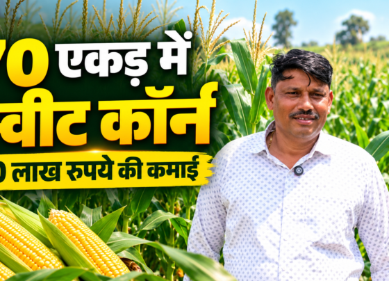 Guru Pawar Sweet Corn Farming Success Story