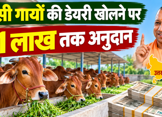 Desi Gay Dairy Subsidy 2026