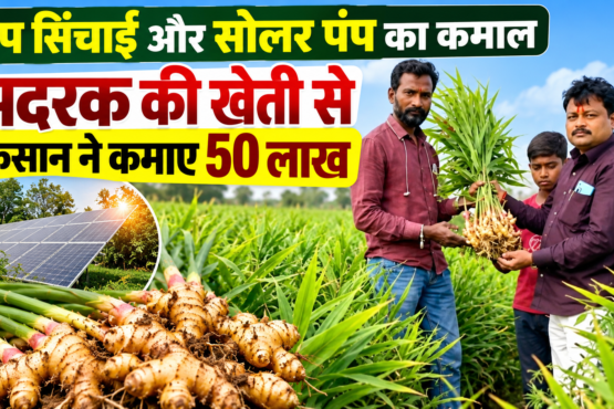 Kailas Jadhav Adrak Ki Kheti Success Story