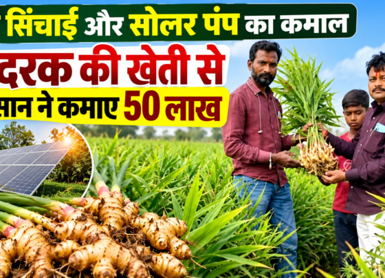 Kailas Jadhav Adrak Ki Kheti Success Story