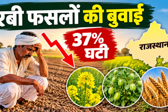 Rabi faslon ki buwai kitni ghati
