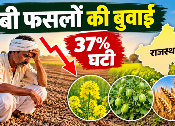 Rabi faslon ki buwai kitni ghati