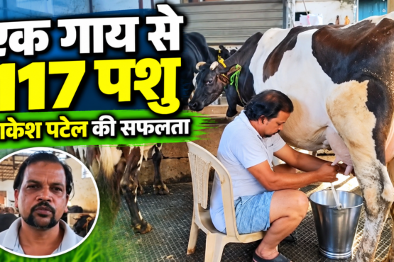 Rakesh Patel Dairy Farm Success Story