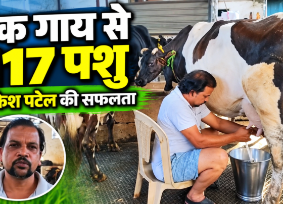 Rakesh Patel Dairy Farm Success Story