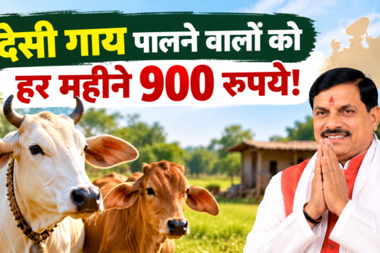 MP Desi Cow Scheme 2026