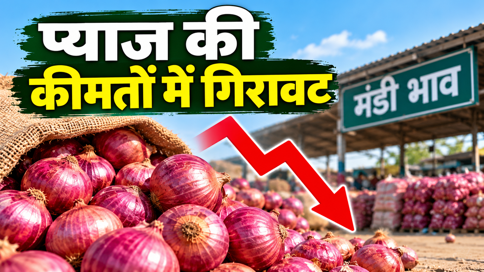 प्याज की कीमतों में गिरावट, महाराष्ट्र में 13% गिरे प्याज के दाम, जानें ताजा मंडी भाव Pyaj Ki Kimaton Mein Girawat